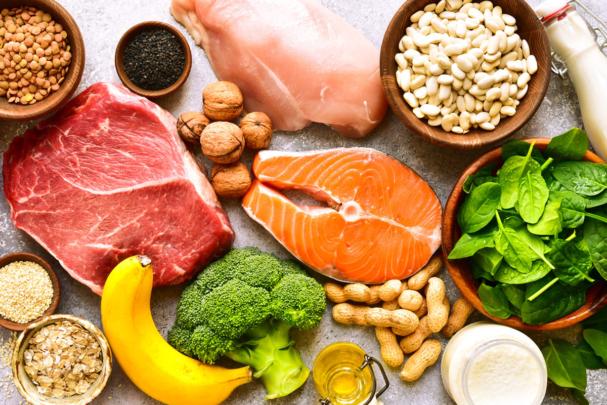 LGlutamine Life Sprout Bioceuticals™