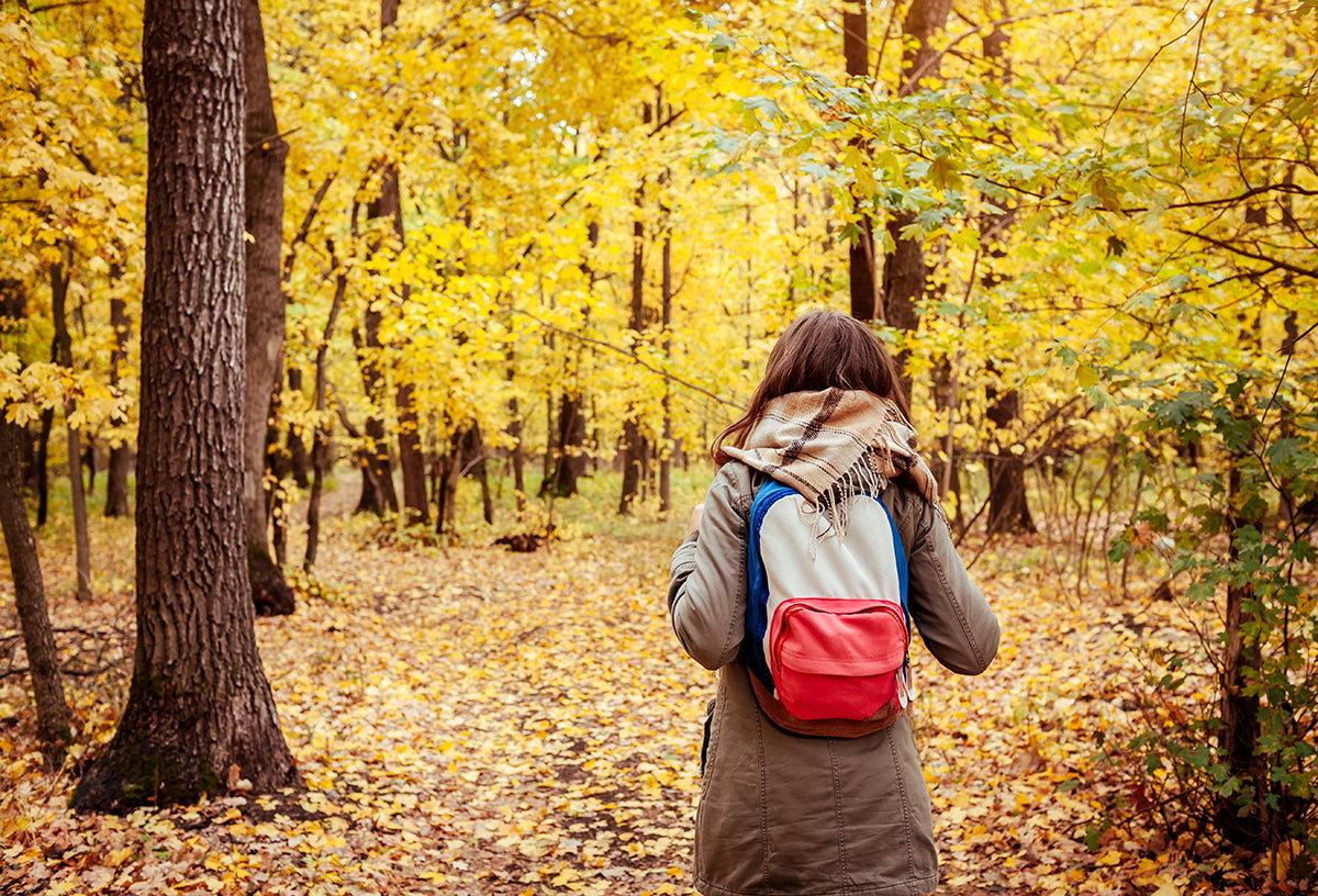 Fall Activities to Keep You Young
