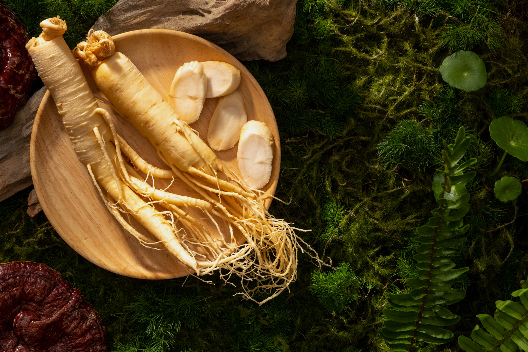 Unveil Your Vitality With These Top Energy Booster Herbs