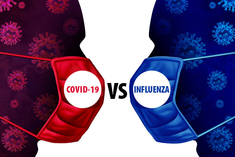 The Coronavirus: What You Really Need To Know
