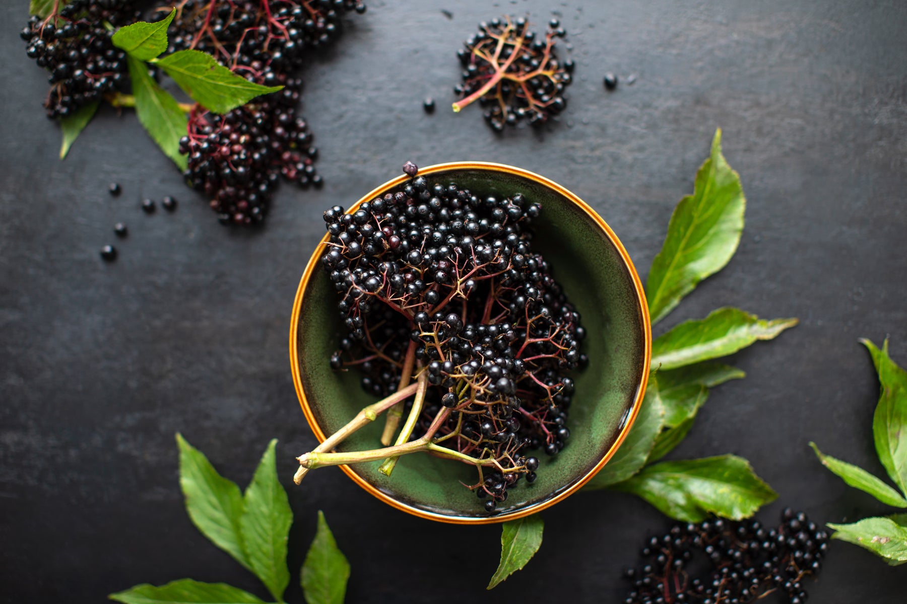 Elderberry: Ancient Secrets for Modern Immunity