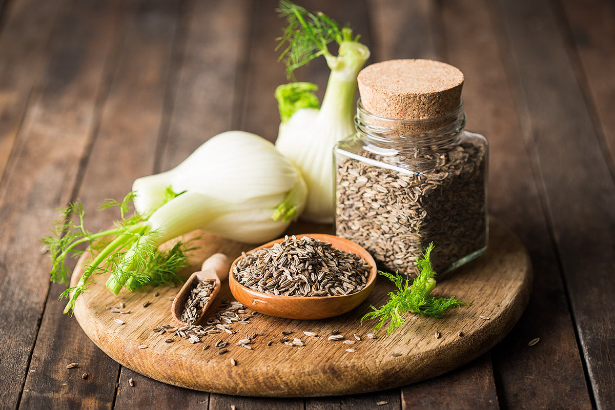 Fennel