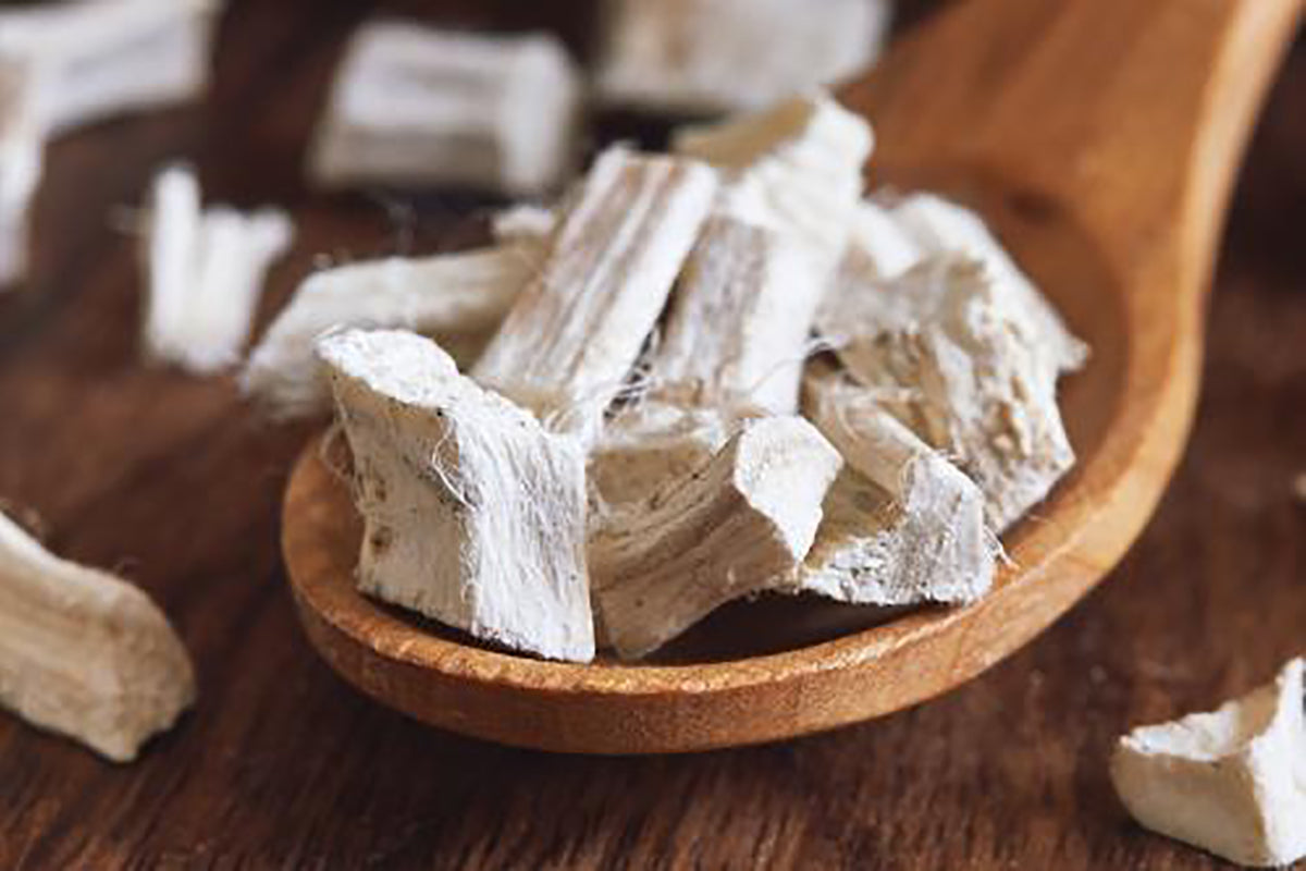 Fact of the Week: Marshmallow Root