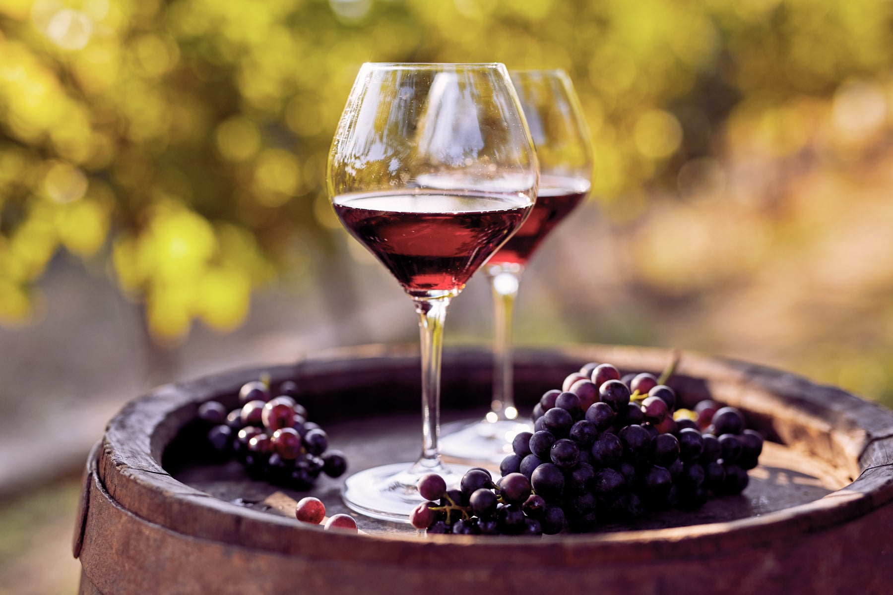 The Heart of Red Wine: Resveratrol in Cardiovascular Health