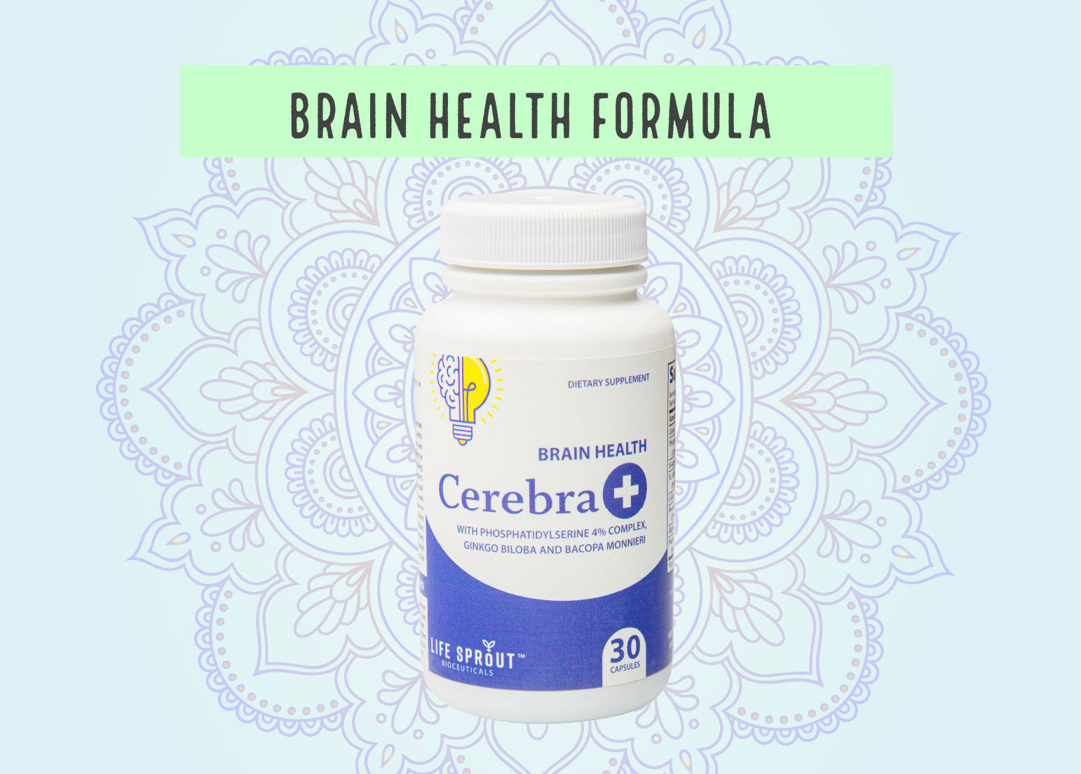 What is Cerebra+: Your Hidden Ace for Crystal-Clear Thinking and Memory Recall