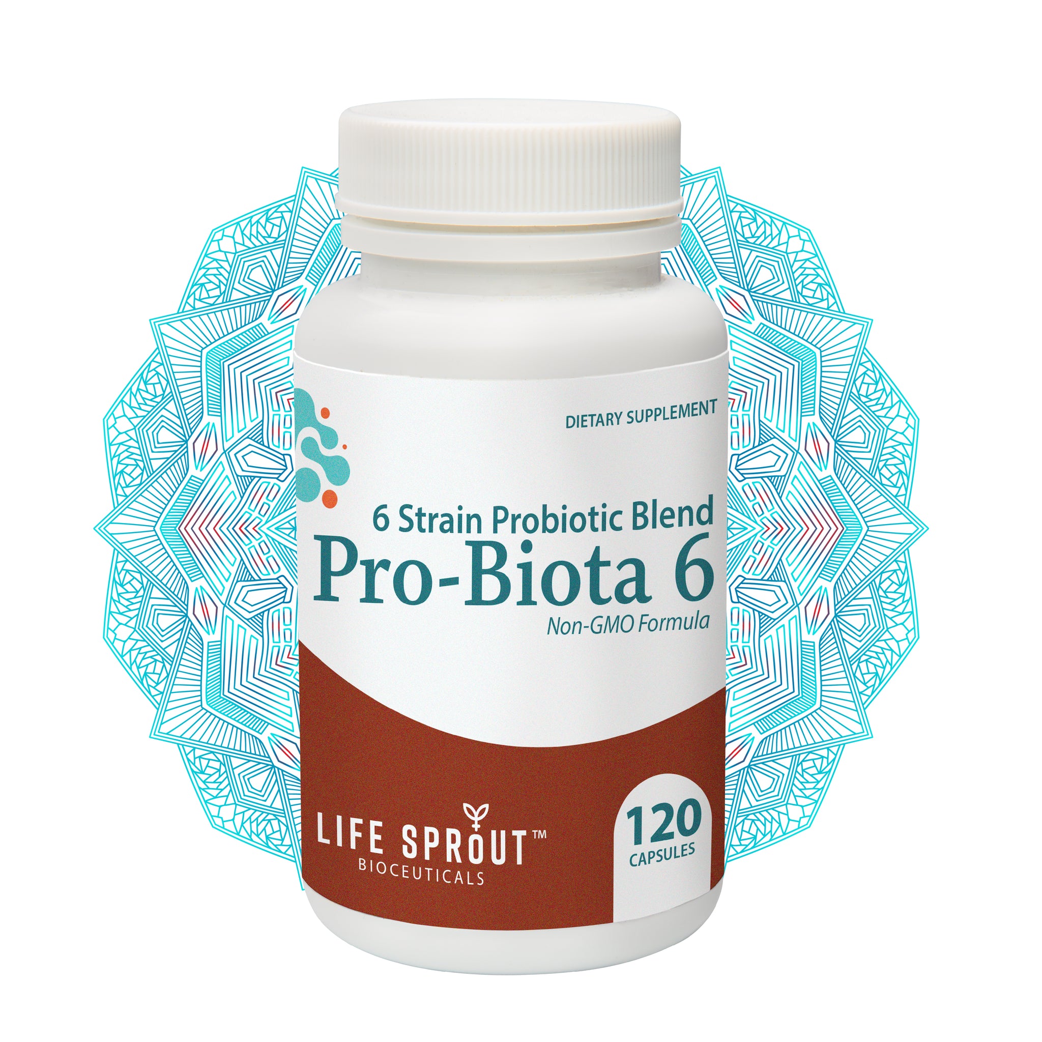 Pro-biota 6 with 20 billion probiotics and 6 active strains