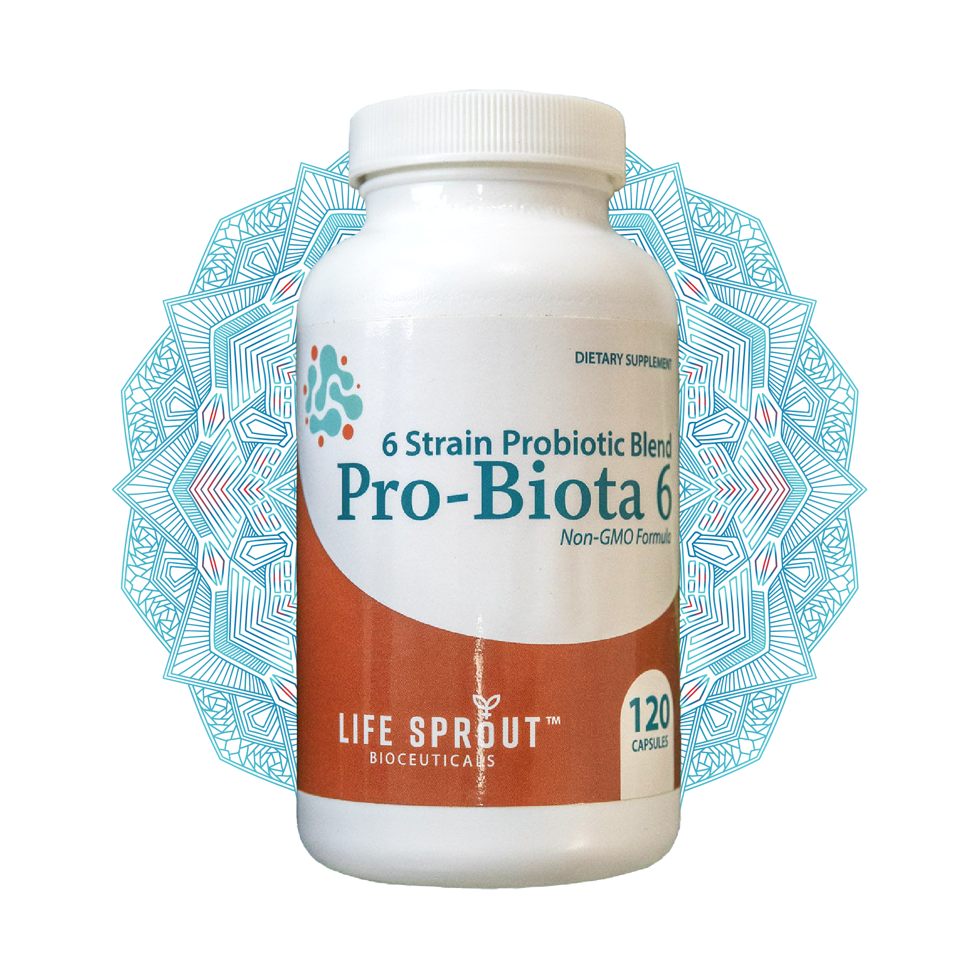 Pro-biota 6 with 20 billion probiotics and 6 active strains